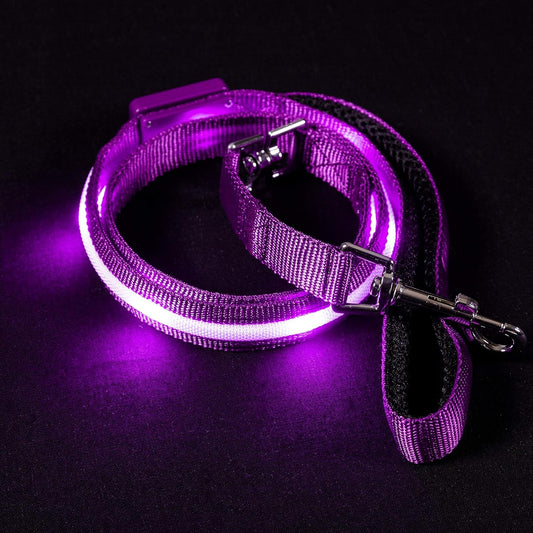 Light up Dog Leash LED Dog Leash - 1,000 Feet of Visibility - USB Rechargeable Waterproof Glow in the Dark Dog Leash - 4 Foot, Purple